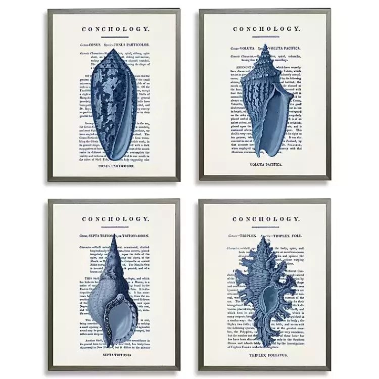 Vintage Blue Shells Framed Art Prints, Set of 4>Kirklands Home Fashion