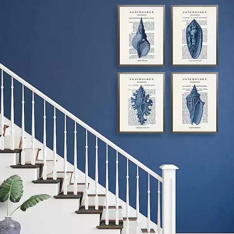 Vintage Blue Shells Framed Art Prints, Set of 4>Kirklands Home Fashion