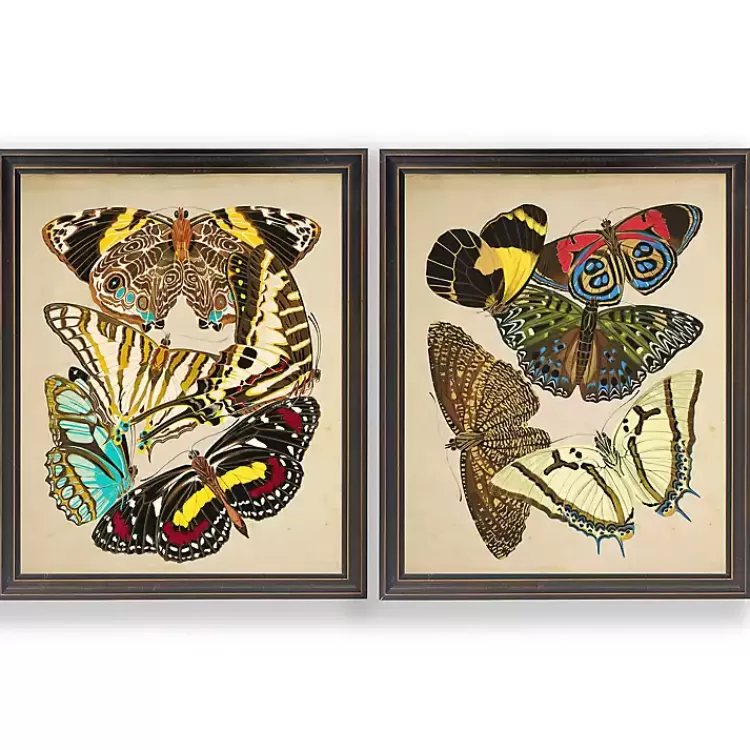 Vintage Butterflies I Framed Art Prints, Set of 2>Kirklands Home Cheap