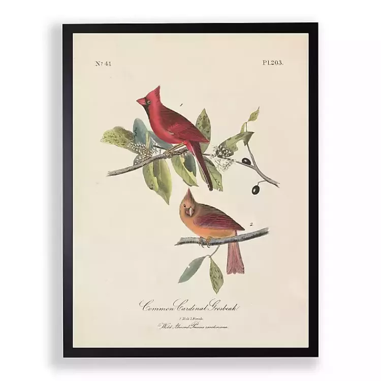 Vintage Cardinal Birds Framed Art Print>Kirklands Home Best