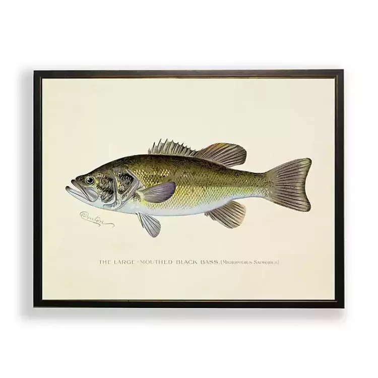 Vintage Large Mouthed Bass Framed Art Print>Kirklands Home Best Sale