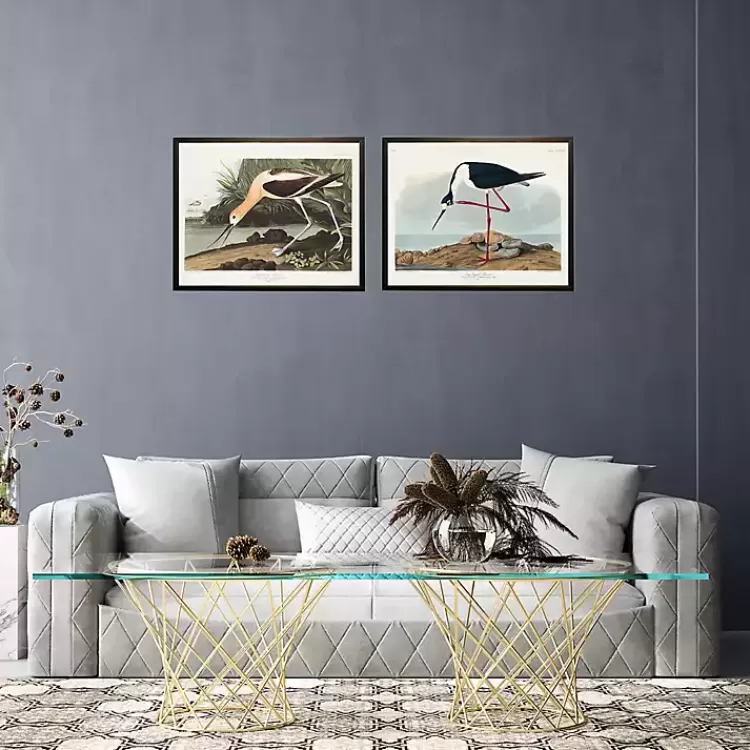 Vintage Long Legged Avocet Framed Art Print>Kirklands Home Fashion