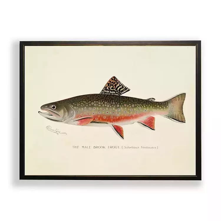 Vintage Male Book Trout Framed Art Print>Kirklands Home Store