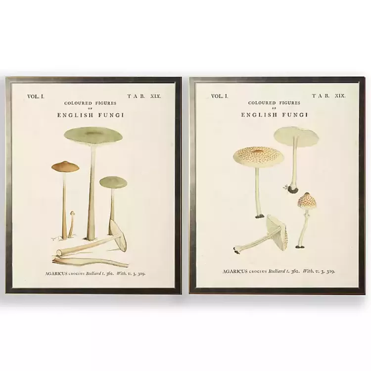 Vintage Mushrooms I Framed Art Prints, Set of 2>Kirklands Home Store
