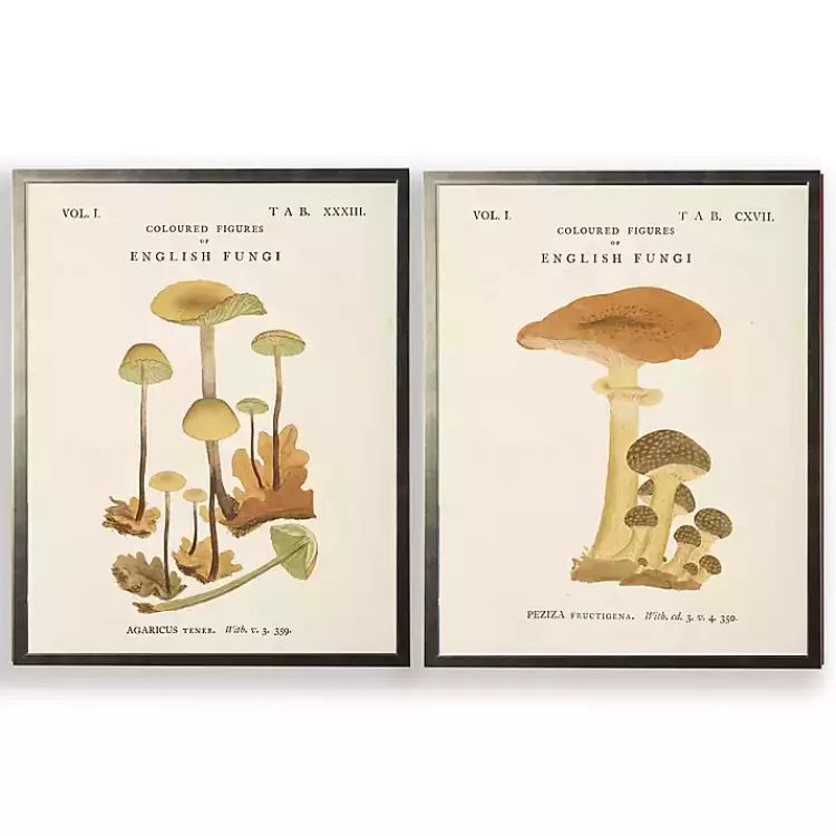 Vintage Mushrooms II Framed Art Prints, Set of 2>Kirklands Home Best Sale
