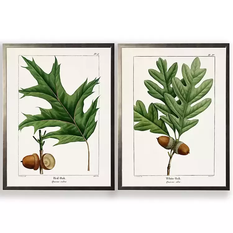 Vintage Oak Leaves Framed Art Prints, Set of 2>Kirklands Home Hot
