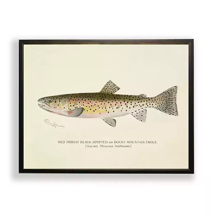 Vintage Rocky Mountain Trout Framed Art Print>Kirklands Home Cheap