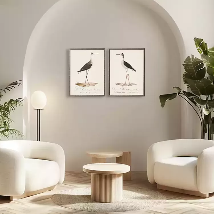 Vintage Waterbird Facing Right Framed Art Print>Kirklands Home Online
