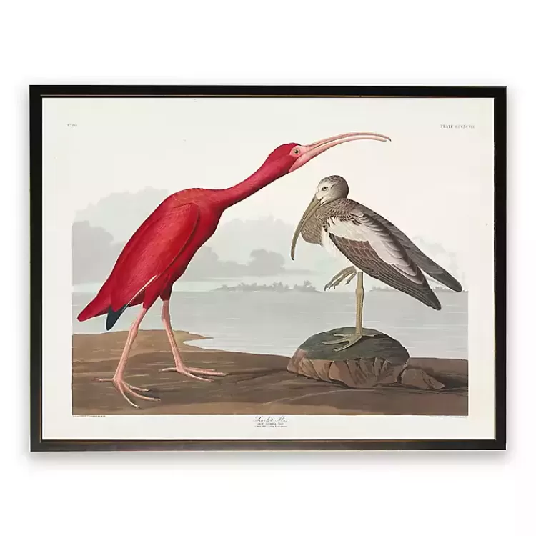 Vintage Waterbird Pair Bookplate Framed Art Print>Kirklands Home Shop