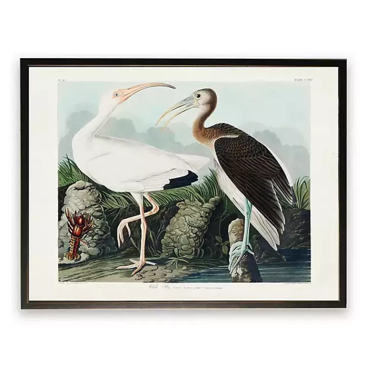 Vintage White Ibis Pair Framed Art Print>Kirklands Home Cheap