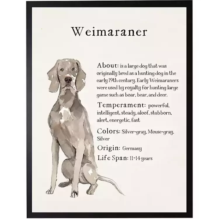 Weimaraner Facts Framed Wall Plaque>Kirklands Home Discount
