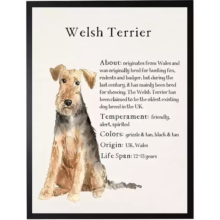 Welsh Terrier Facts Framed Wall Plaque>Kirklands Home New