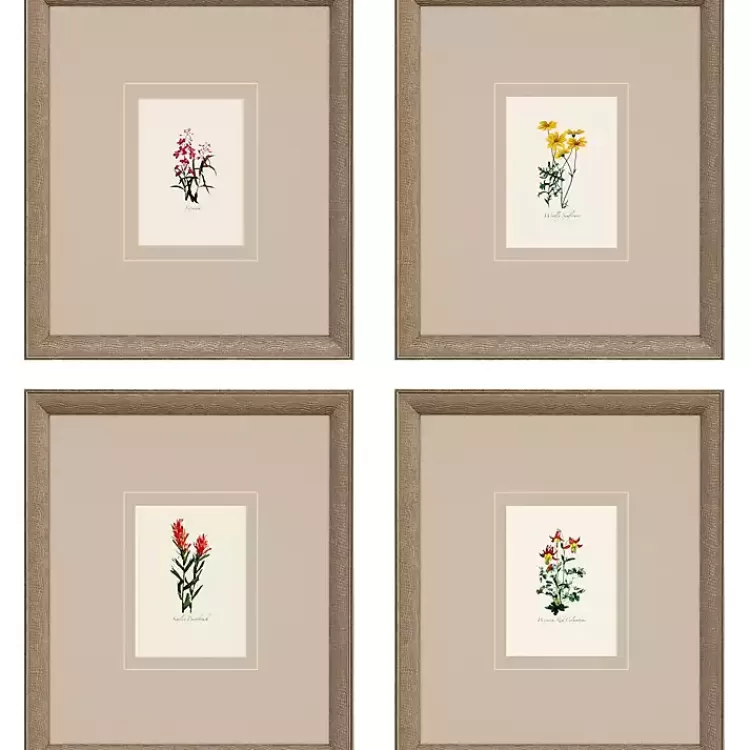 Western Wildflower Framed Art Prints, Set of>Kirklands Home Shop