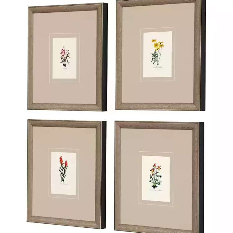 western_wildflower_framed_art_prints_set_of_2.webp Western Wildflower Framed Art Prints, Set of>Kirklands Home Shop