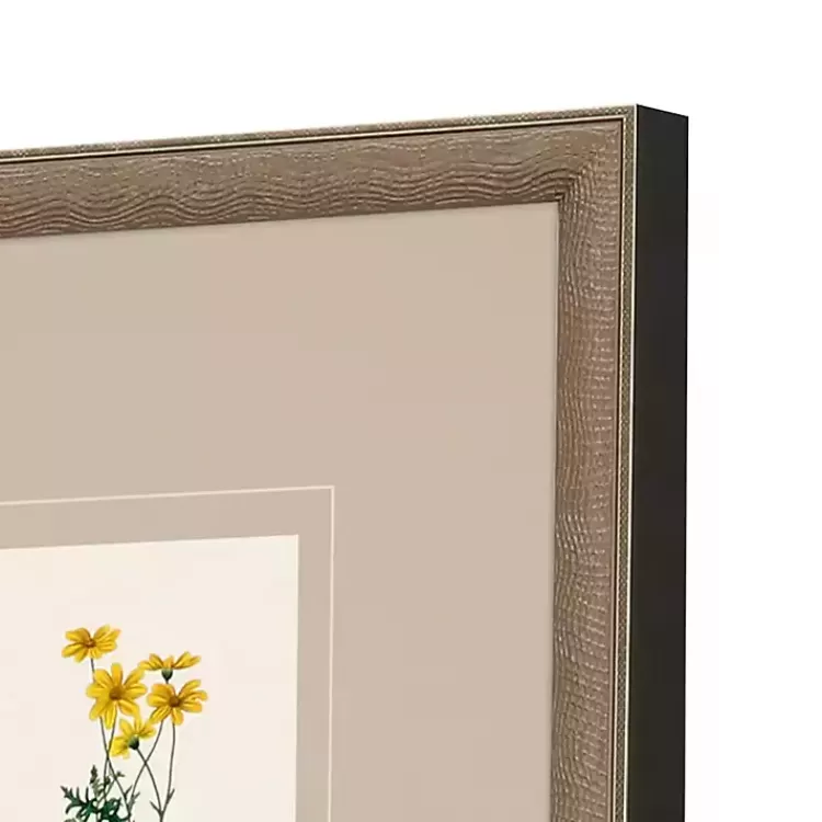 western_wildflower_framed_art_prints_set_of_3.webp Western Wildflower Framed Art Prints, Set of>Kirklands Home Shop