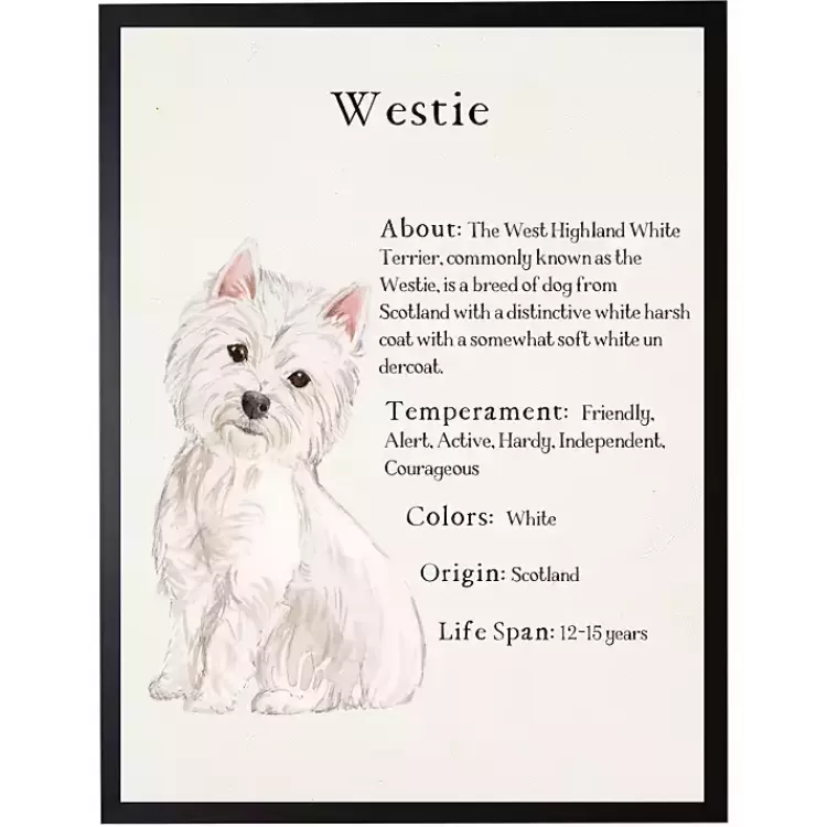 Westie Facts Framed Wall Plaque>Kirklands Home Best