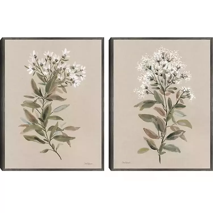 White Floral Stems Framed Canvas Prints, Set of 2>Kirklands Home Flash Sale