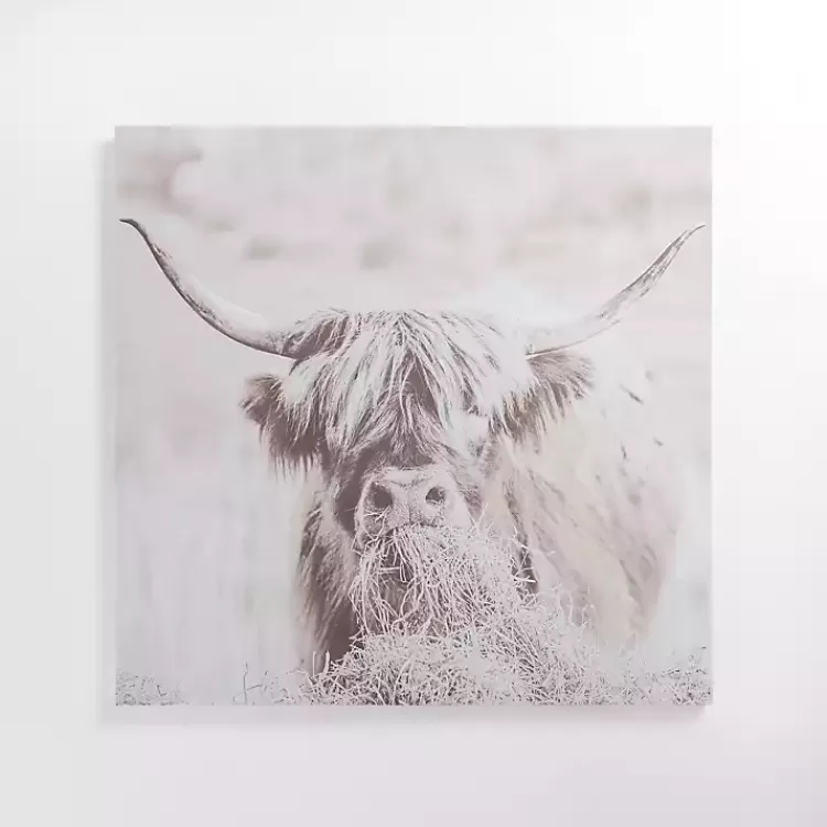 Wild Highland Cow Canvas Art Print>Kirklands Home Hot