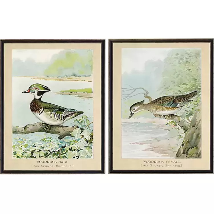 Wood Duck Duo Framed Art Prints, Set of 2>Kirklands Home Best Sale