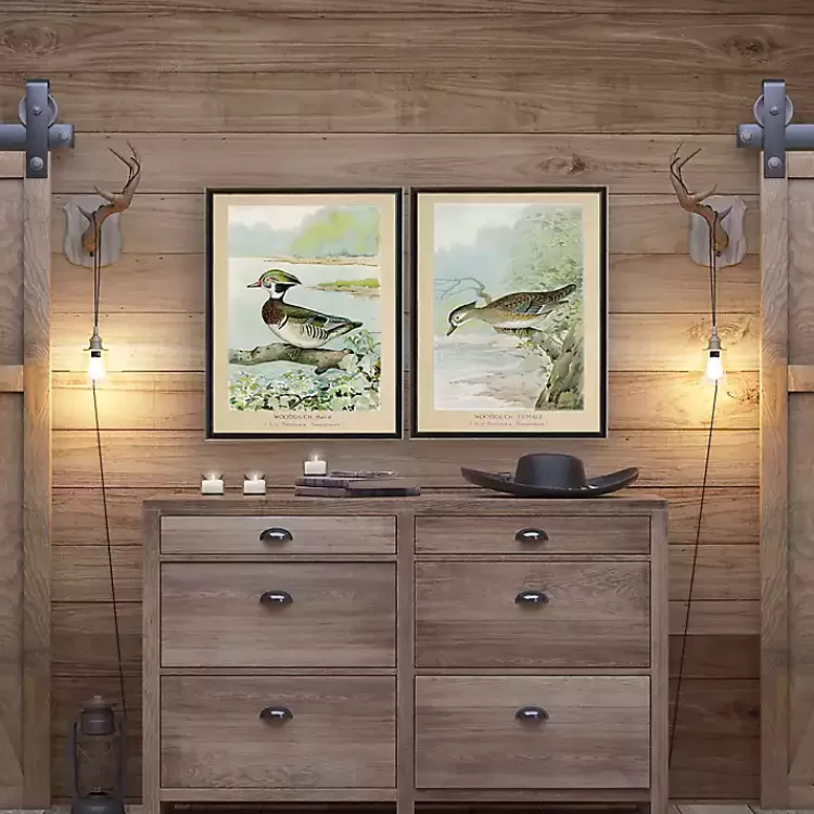 Wood Duck Duo Framed Art Prints, Set of 2>Kirklands Home Best Sale