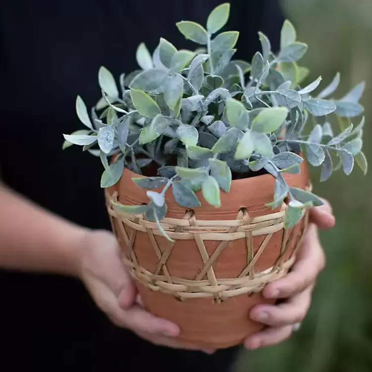 woven_diamond_terracotta_planter_2.webp Woven Diamond Terracotta Planter>Kirklands Home Store
