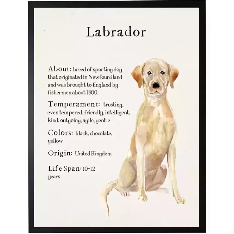 Yellow Labrador Facts Framed Wall Plaque>Kirklands Home Sale