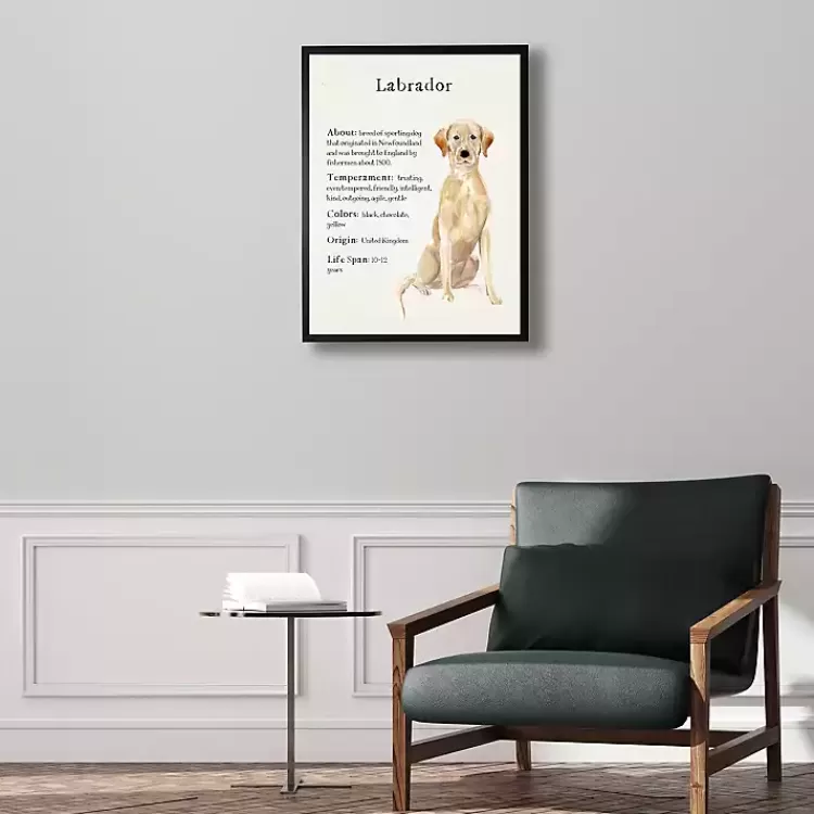 Yellow Labrador Facts Framed Wall Plaque>Kirklands Home Sale