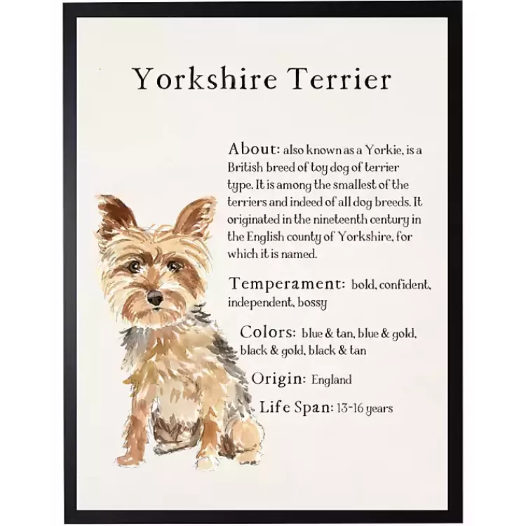 Yorkshire Terrier Facts Framed Wall Plaque>Kirklands Home Flash Sale