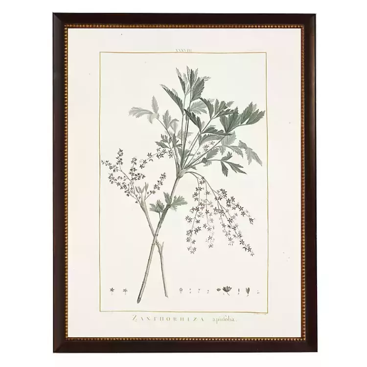 Zanthorhiza Greenery Black Beaded Framed Art Print>Kirklands Home New